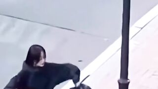 funny videos