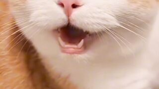 funny girl senpai.funny girl jokes.funny jokes girl and boy.prank video.prank dugonamga.dugonamga sovg'a yasash.funny shorts.funny clips