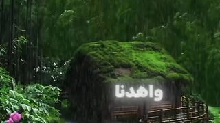 اللهم آمين ✅ #الصلاة_على_النبي_ﷺ #احاديث_نبوية #ادعية_اسلامية #حساب_ديني