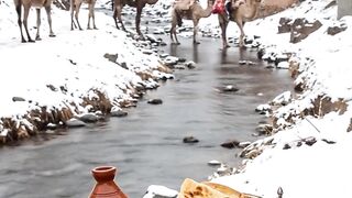 روعة المغربية