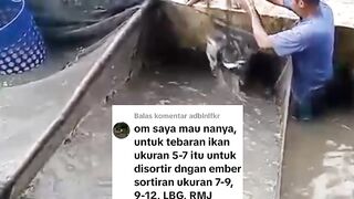 Ukuran bak sortir sudah tau tapi masih nanya kapan SORTIRnya