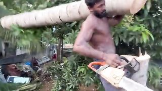 The Clueless Lumberjack