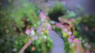 Nature Video