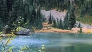 Beautiful nature