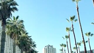 A weekend in San Diego_ California - best things to do_(1080P_HD).mp4