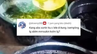 Cara mengetahui lele susut/hilang berapa ekor saat budidaya