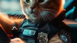 Kucing Anjing jadi Tentara