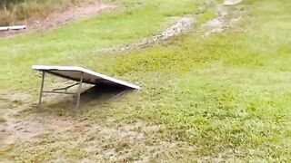 Funnies video viral