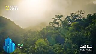 مسلسل ام ٤٤