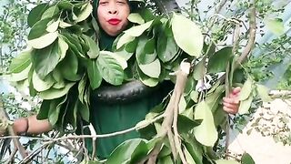 Video lucu Mimi peri 10 hari menjelang ramadhan ????