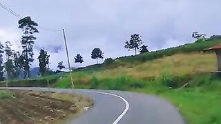 Secawan madu
