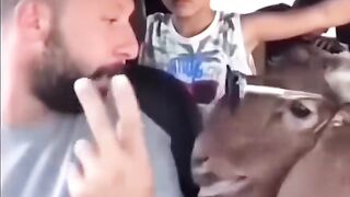 ????????????