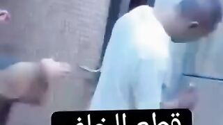 فرفشة قطع الضنا ياحرام