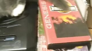 clash in dragon ball