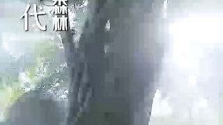 The Call of the Wild Unknown | SUB ENG - EP 01