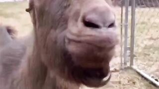 funny meme part1