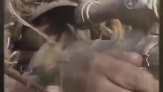 روسيا تشن هجوما لشل اوكرانيا