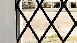 Jang-e-Uhud ka Waqia|Hazrat Ameer Hamza ra ki shahadet|Islamic reels|Islamic Short|Islamic Digest|Islamic videos