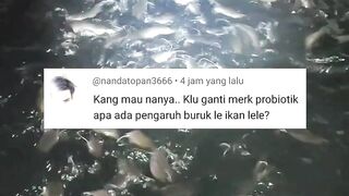 Kalau ganti merek probiotik apa ada pengaruh buruk ke ikan lele