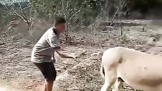 Funny videos
