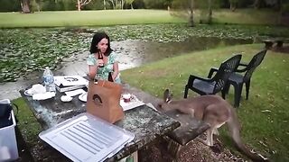Picnic With Kangaroo