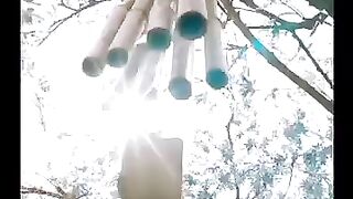 ^~ Dear Mr. Heavenly Fox ~^????✨