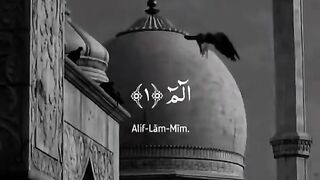Alquran recitation ????