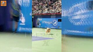 Mirra Andreeva triumphs in Dubai: wins first WTA 1000 title and cracks Top 10