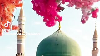 MUHAMMAD  [P.B.H ]