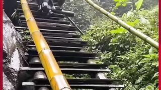 Waw????????