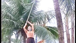 Jatuh tertimpa kelapa????????????