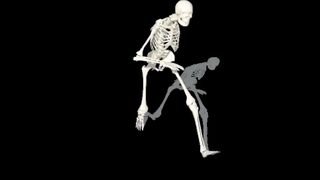 Human Skeleton Dance