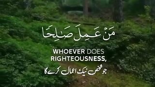 Alquran recitation ????