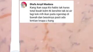 Kenapa setelah ganti air kolam ikan lele bermasalah❓