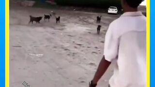 فيديوهات مغربية شبع ضحك معا مغاربة
