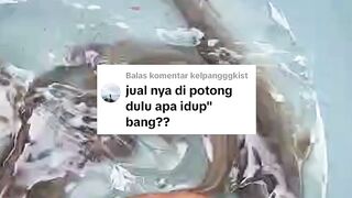 Dengan ide kreatif sederhana, harga ikan lele bisa naik