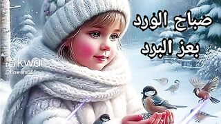 صباح البرد