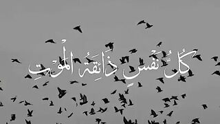 Alquran recitation ????