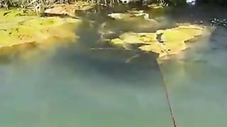 Watch This Thing