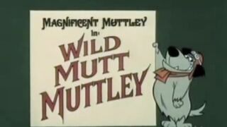 Muttley, o Magnífico - Muttley, O Viralata da Selva
