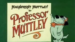 Muttley, o Magnífico - Professor Muttley