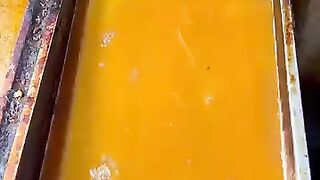 Grilled Eel Omelette Egg