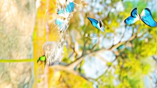 Nature's magic