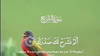 Surah Alam-Nashrah