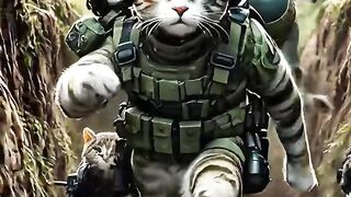 Tentara kucing yang gagah berani