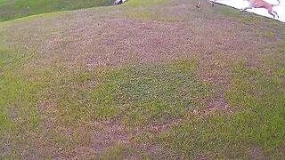Attached dog