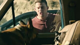 Dog comedy