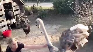 Dancing