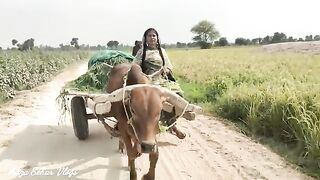 Vlogs land work