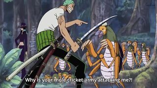 Straw hats and Animals can't get along for 10 minutes straight | One Piece Funny Moments